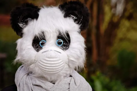 Casino Hot Line Suporte